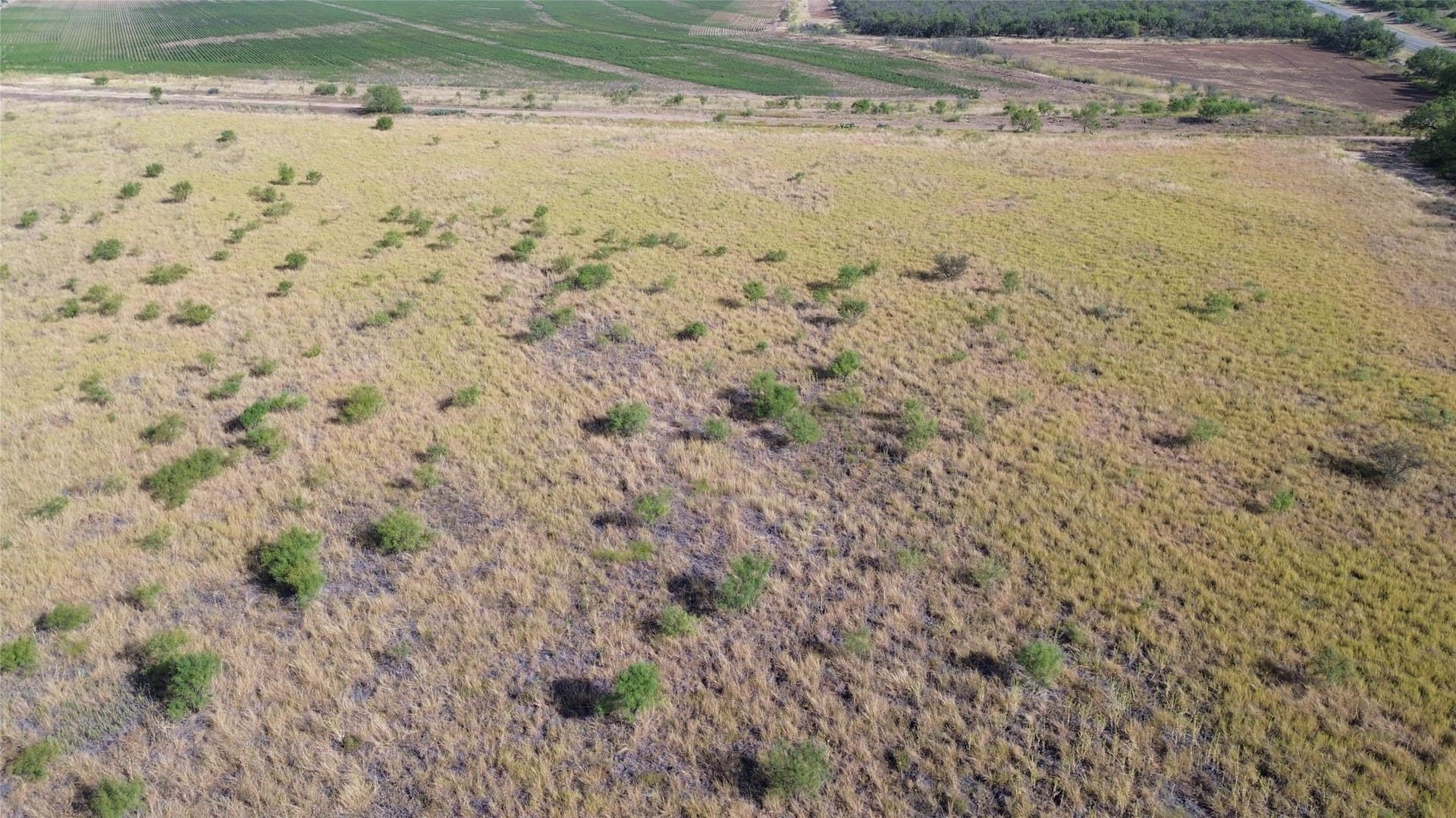 13.48 acres in Runnels County - photo 4