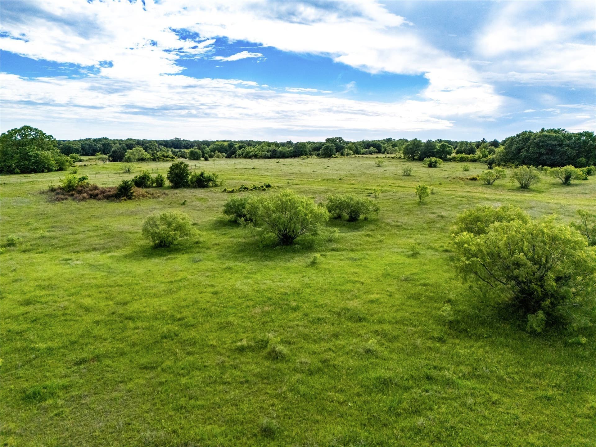 16.69 acres in Wise County featured view