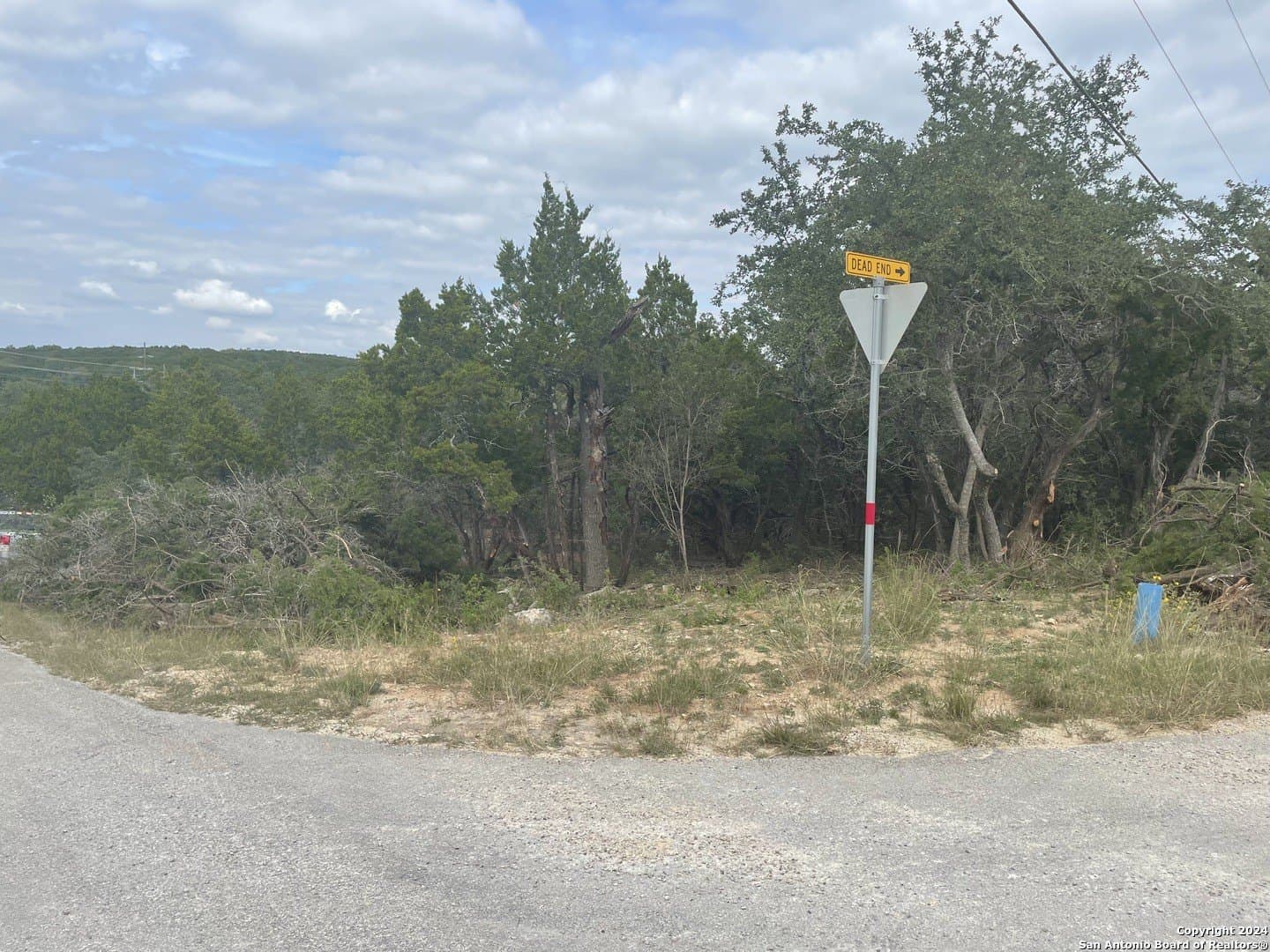 0.46 acres in Comal County gallery image 3