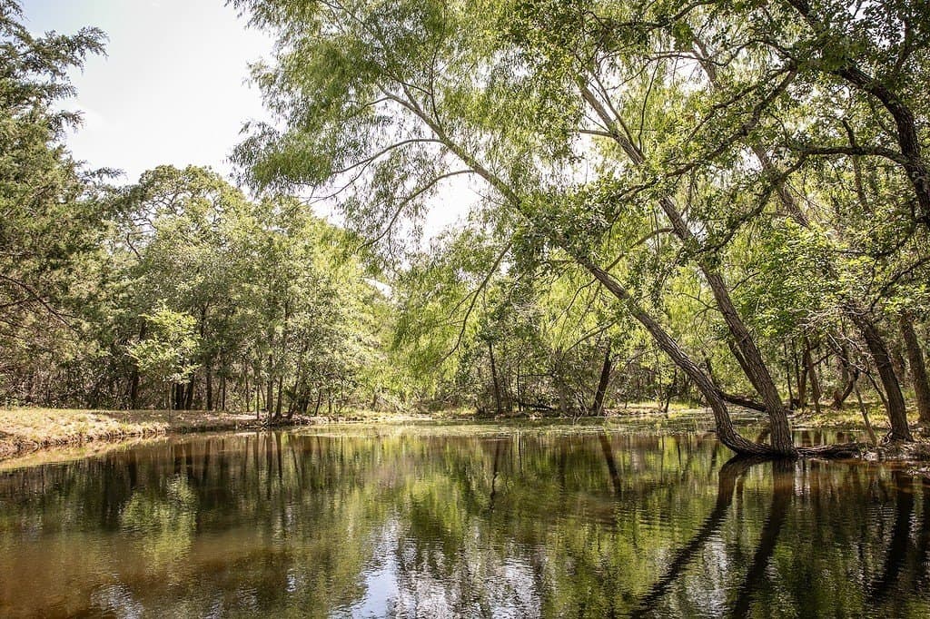 20 acres in Washington County gallery image 3