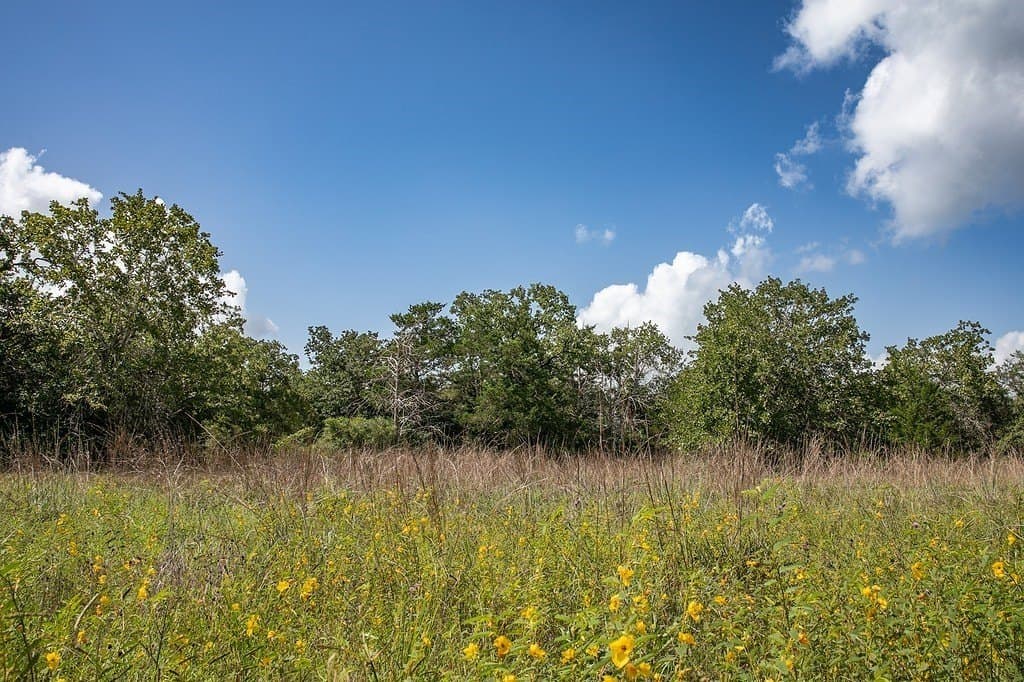 20 acres in Washington County