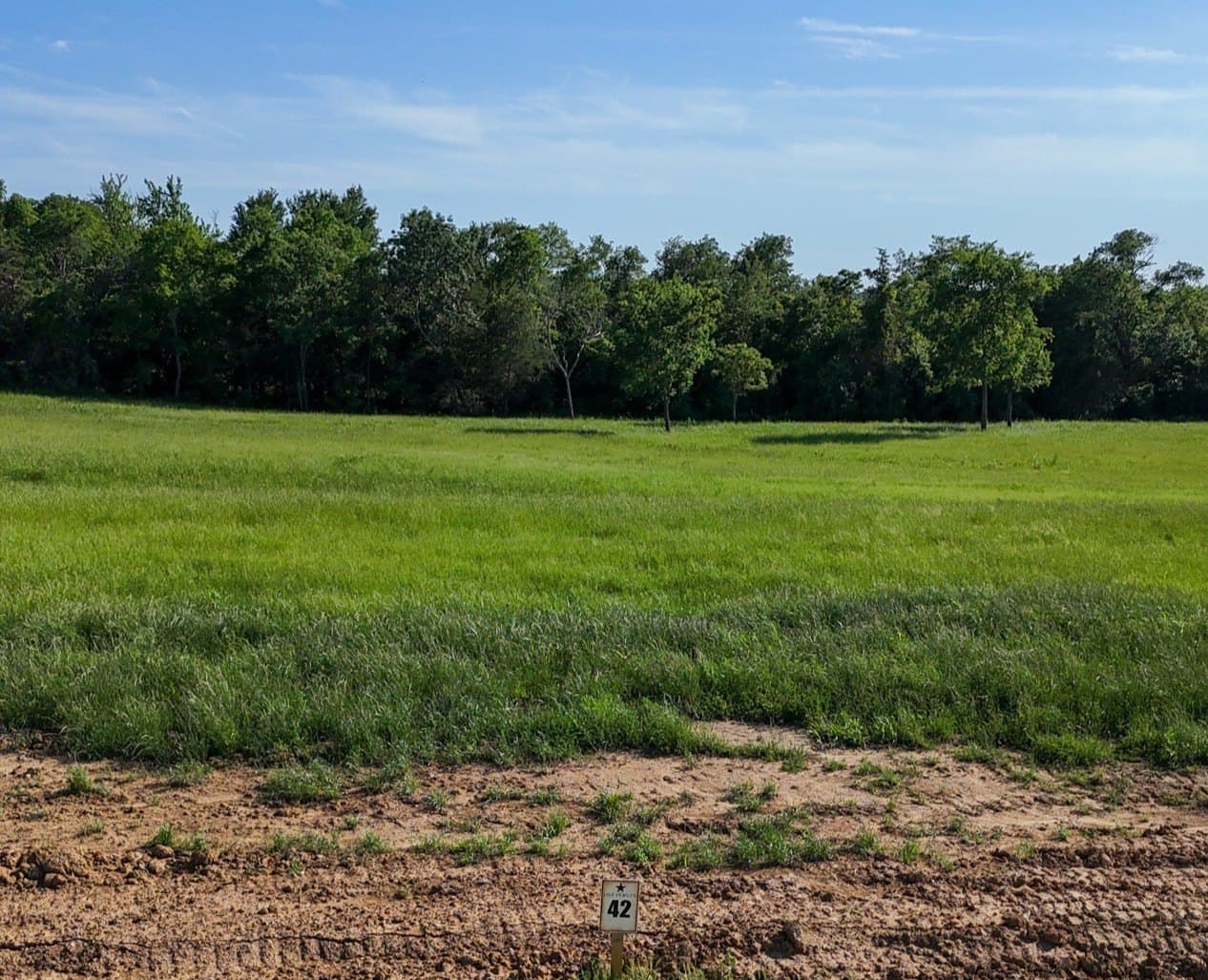 1.02 acres in Fannin County gallery image 2