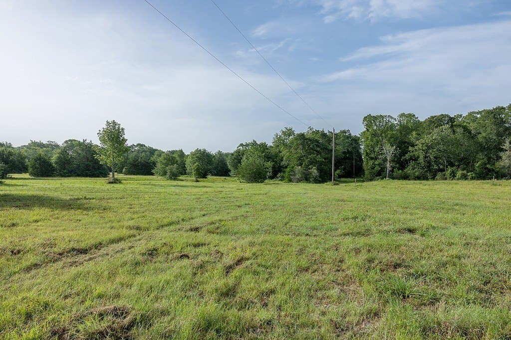 30 acres in Fayette County gallery image 3