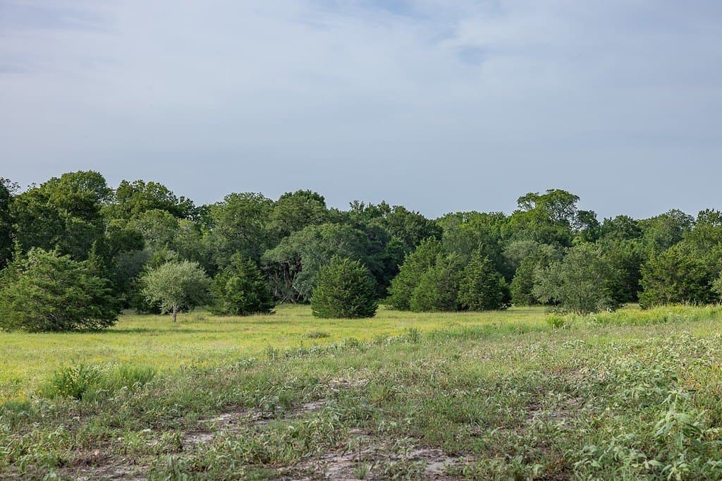 30 acres in Fayette County featured view
