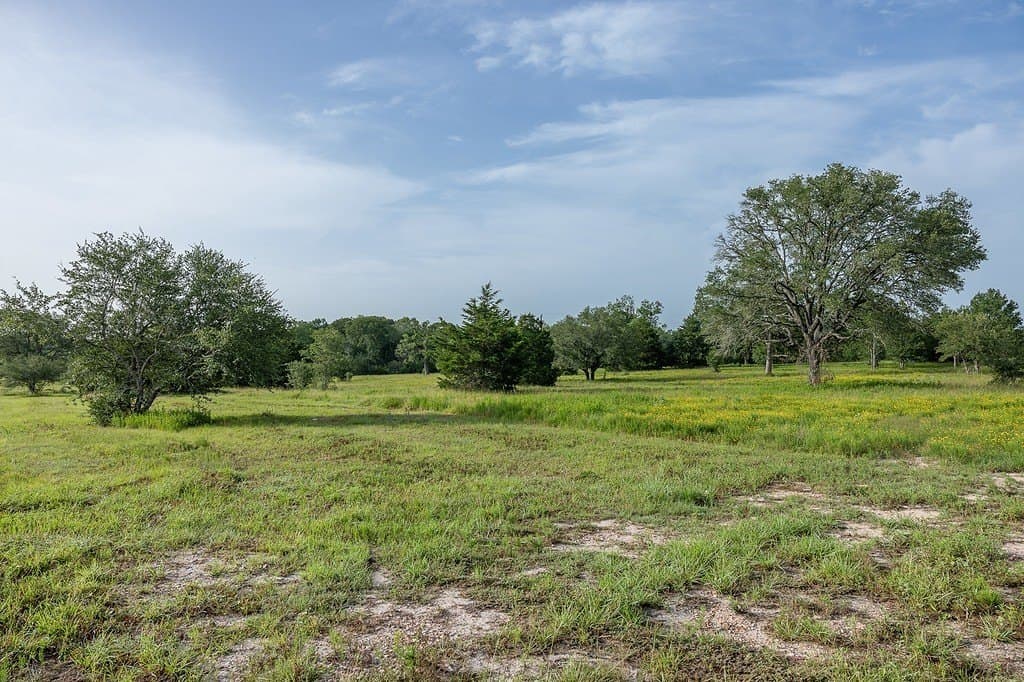 30 acres in Fayette County gallery image 2