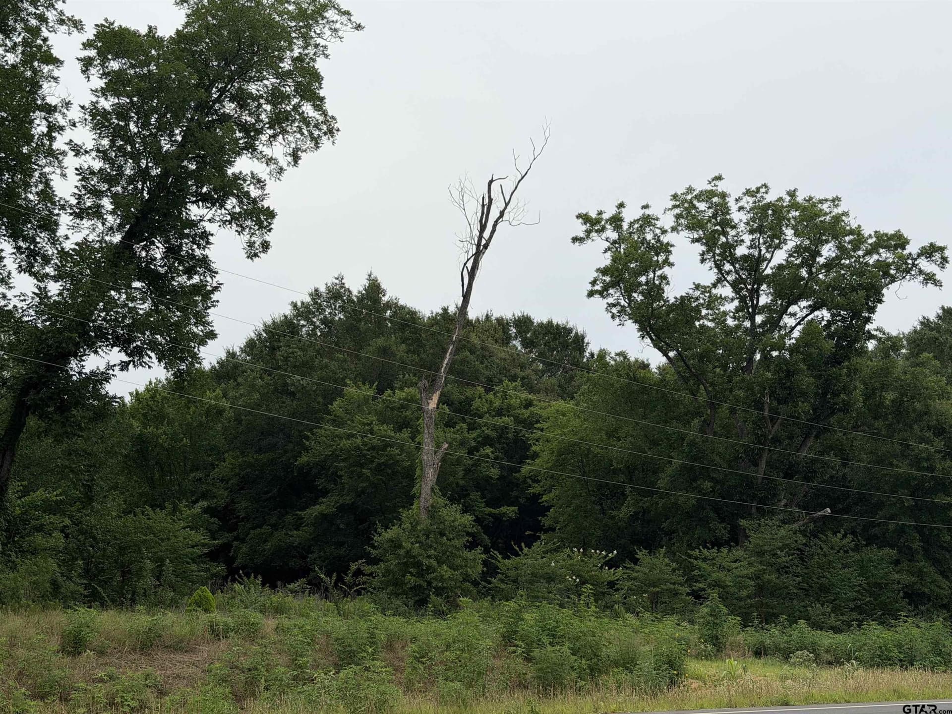 0.5 acres in Smith County gallery image 2