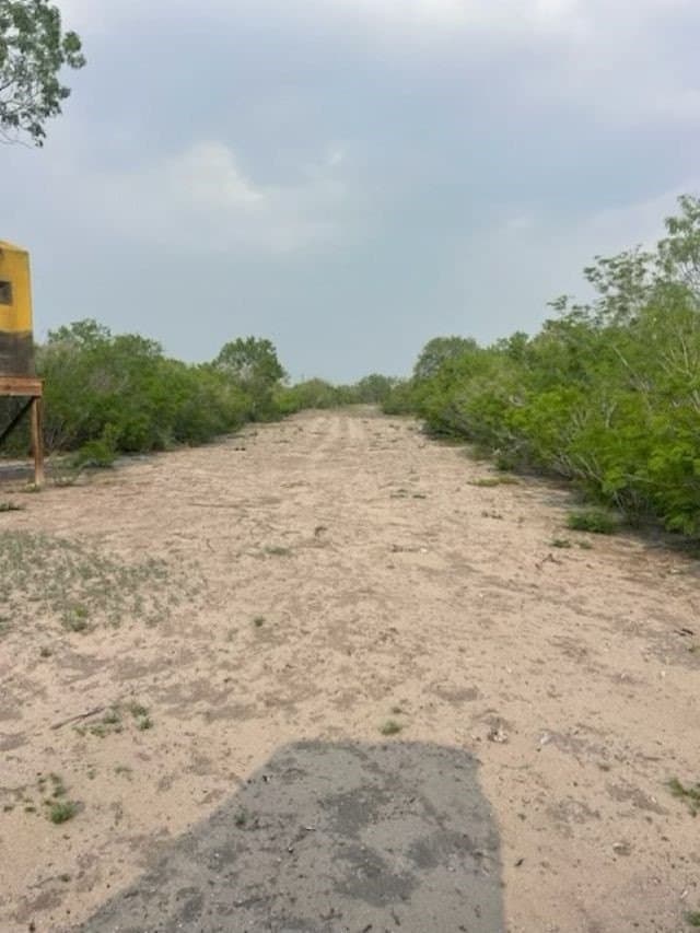 10.76 acres in Live Oak County gallery image 2