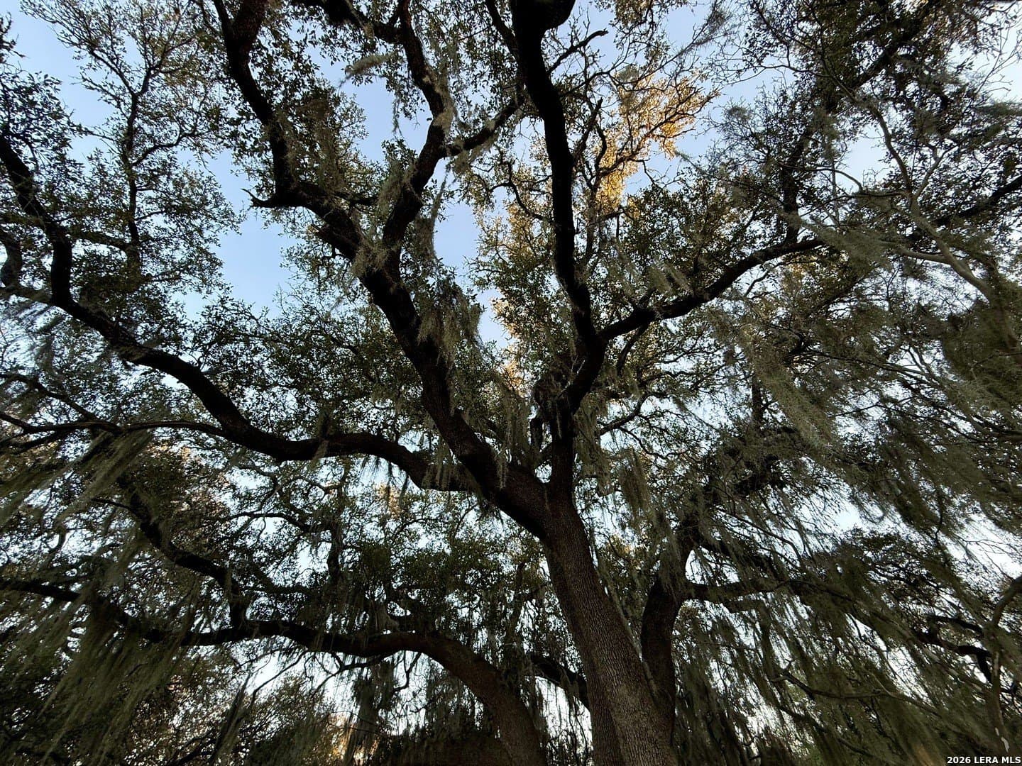 2.46 acres in Comal County featured view