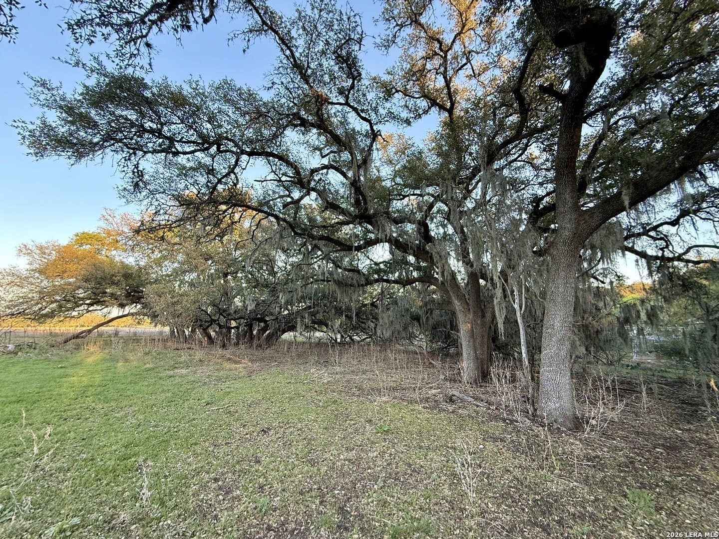 2.46 acres in Comal County gallery image 4