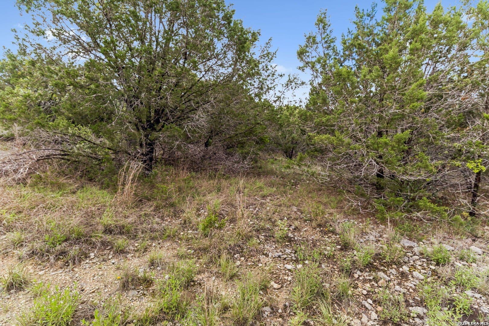 1.56 acres in Comal County - photo 12