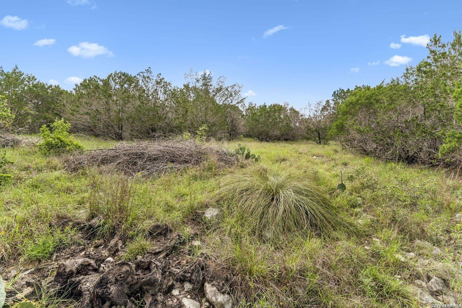 1.56 acres in Comal County - photo 10