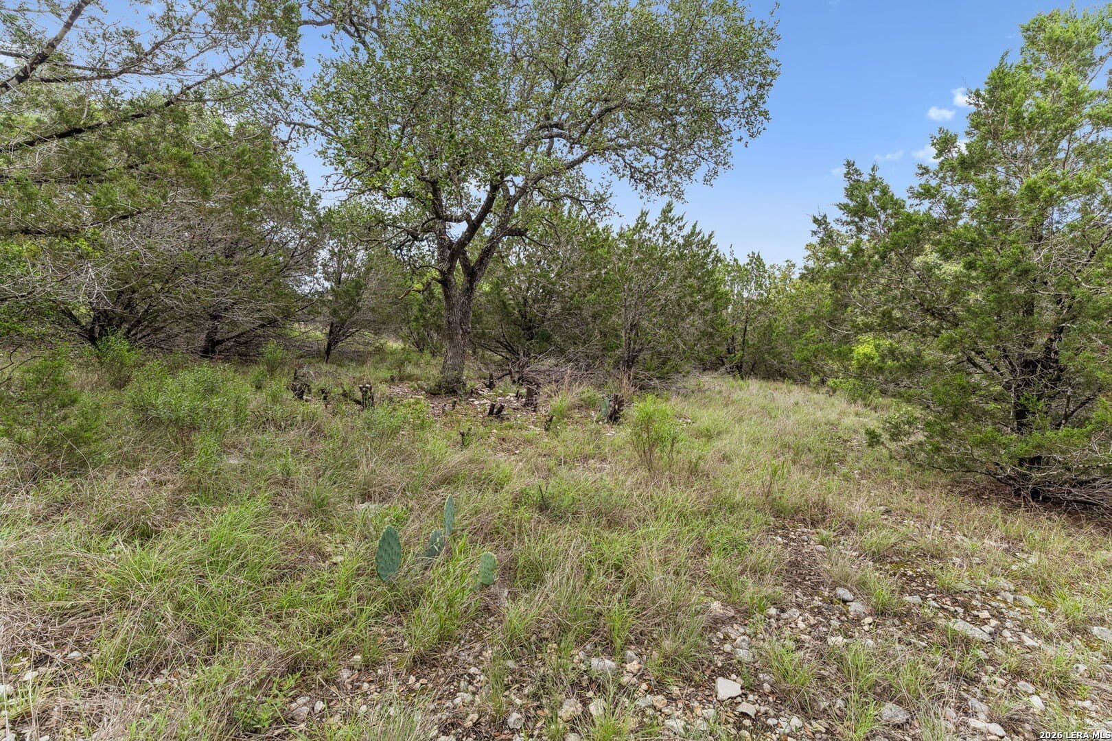 1.56 acres in Comal County - photo 11