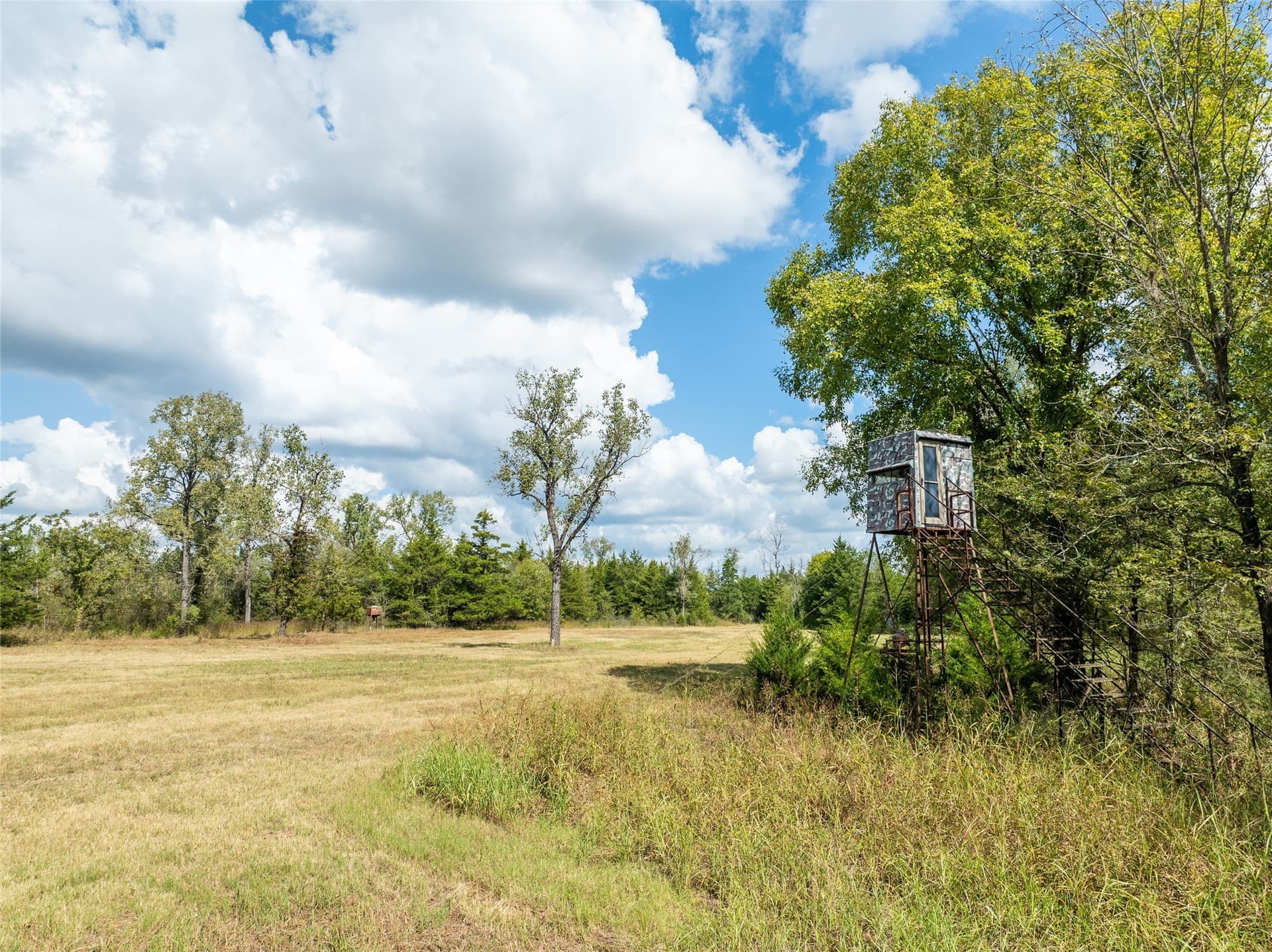 1,270 acres in Red River (TX) County - photo 16