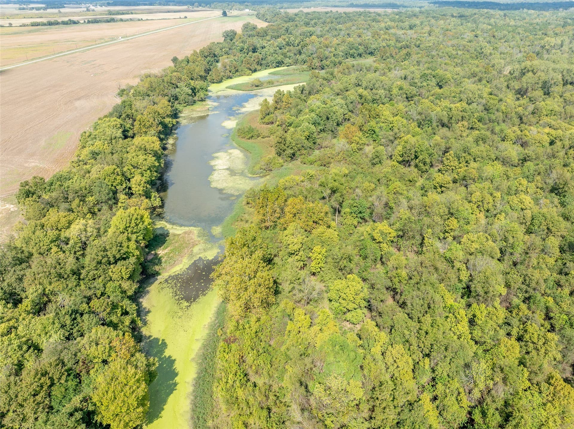 1,270 acres in Red River (TX) County - photo 18