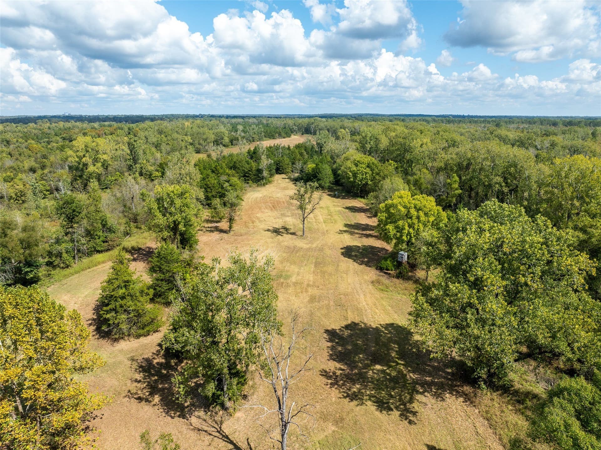1,270 acres in Red River (TX) County - photo 17