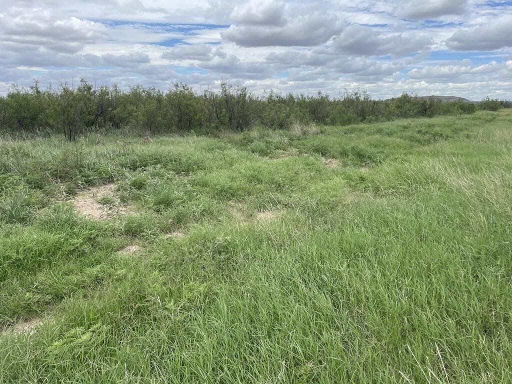 644 acres in Pecos County - photo 13