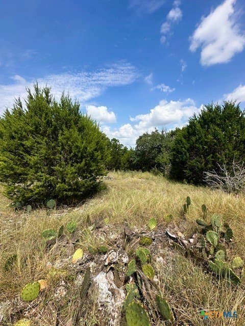 1.23 acres in Comal County - photo 6