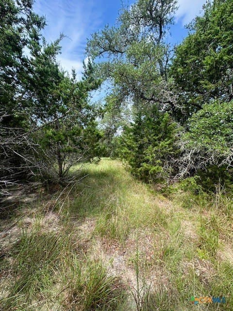 1.23 acres in Comal County gallery image 2
