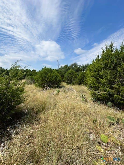 1.23 acres in Comal County featured view