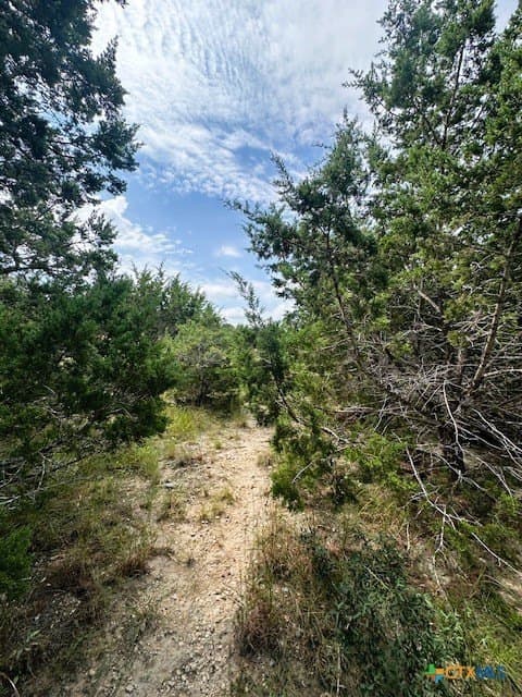 1.23 acres in Comal County gallery image 3