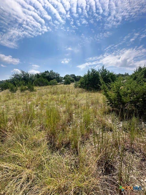 1.23 acres in Comal County gallery image 4