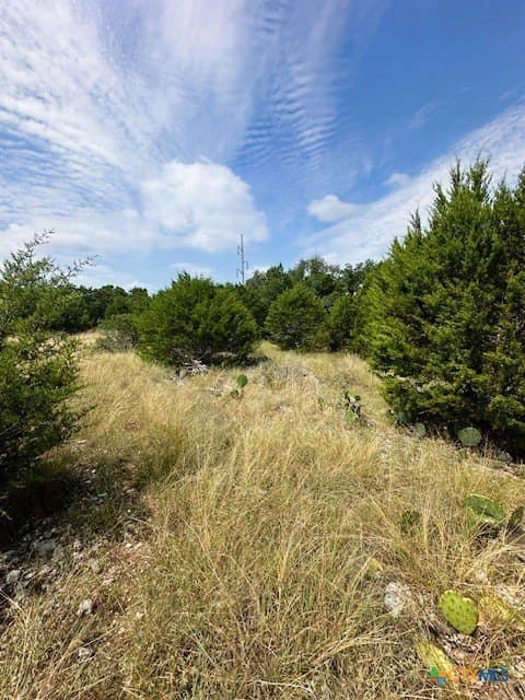 1.23 acres in Comal County - photo 7