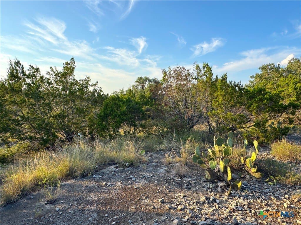 1.23 acres in Comal County - photo 8