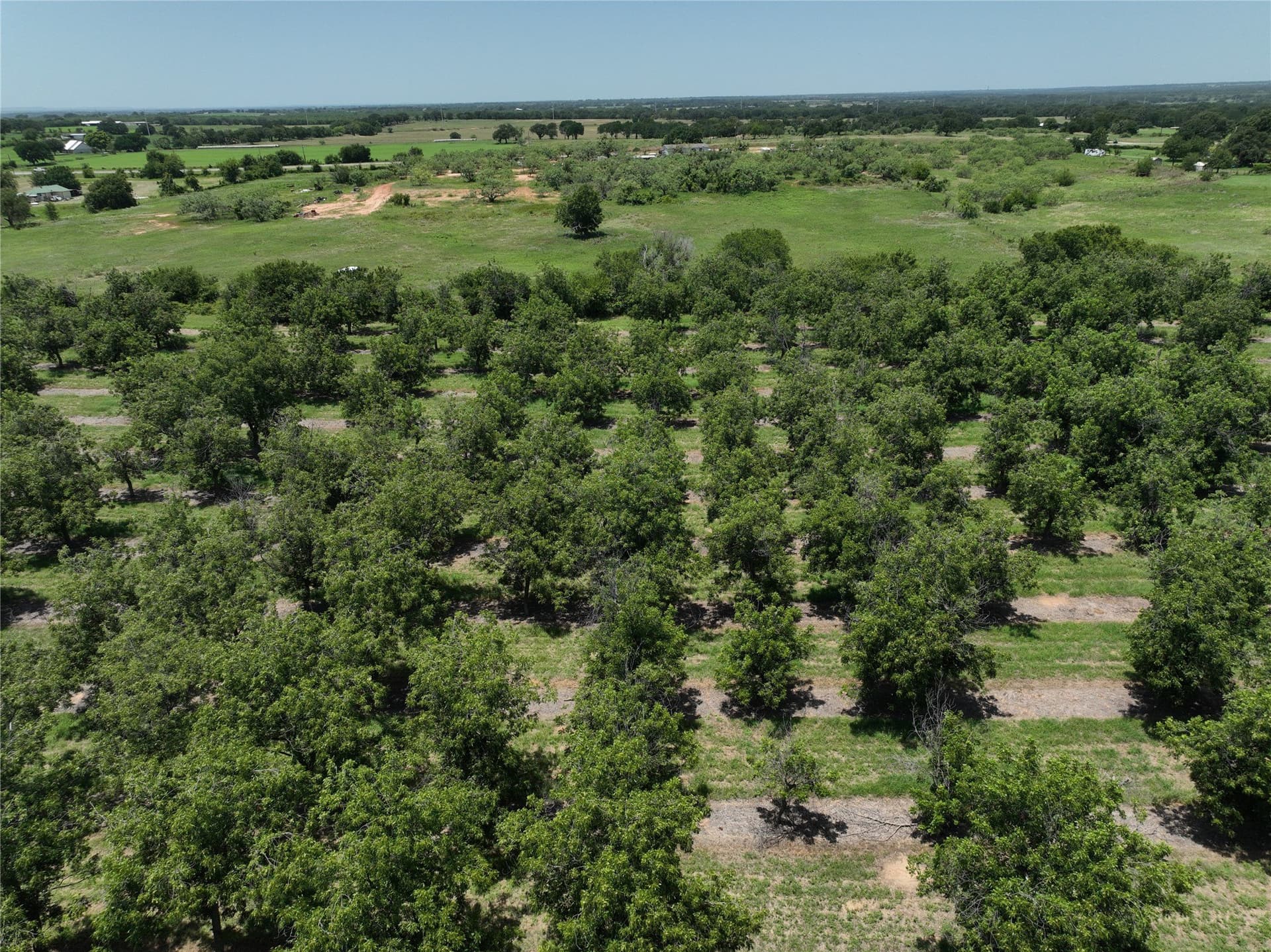 81.7 acres in Comanche County gallery image 4