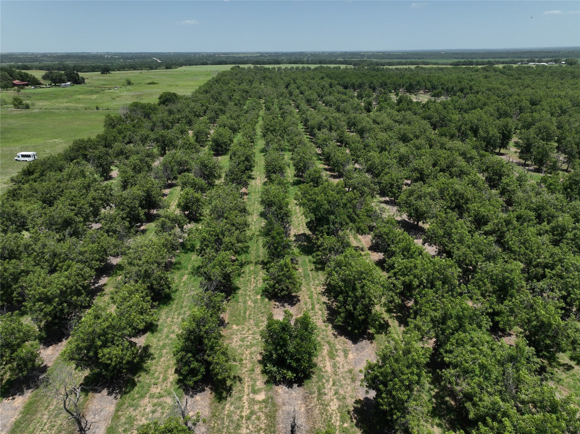 81.7 acres in Comanche County - photo 7