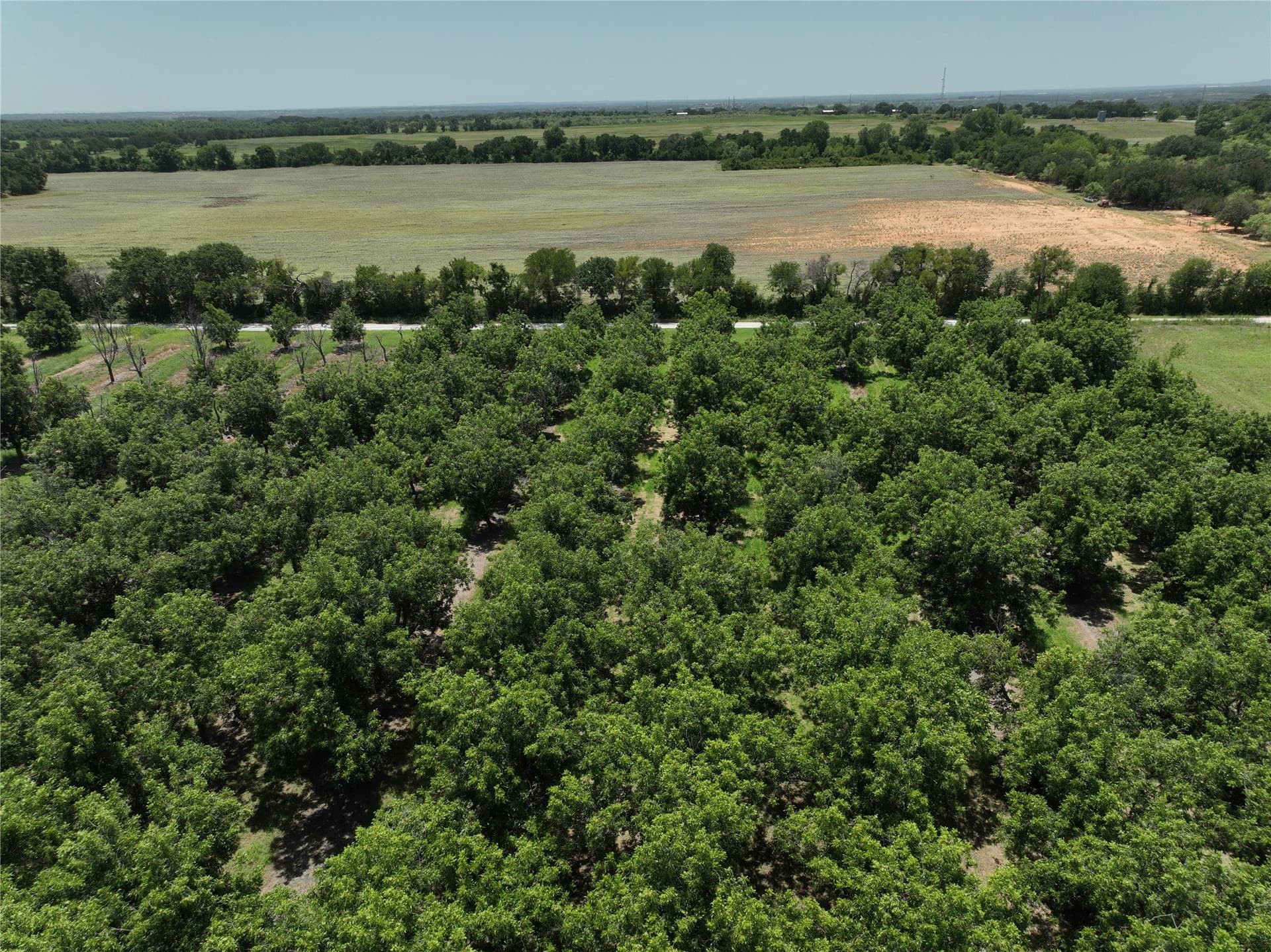 81.7 acres in Comanche County - photo 6