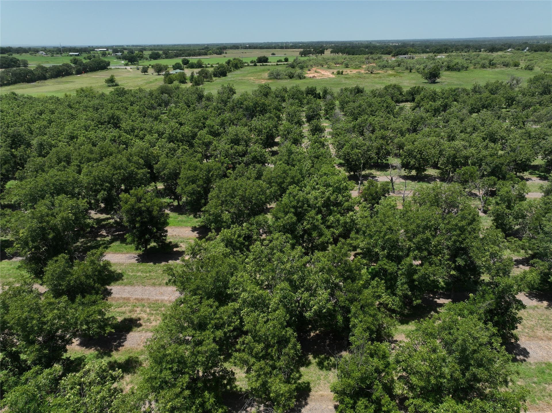 81.7 acres in Comanche County gallery image 3
