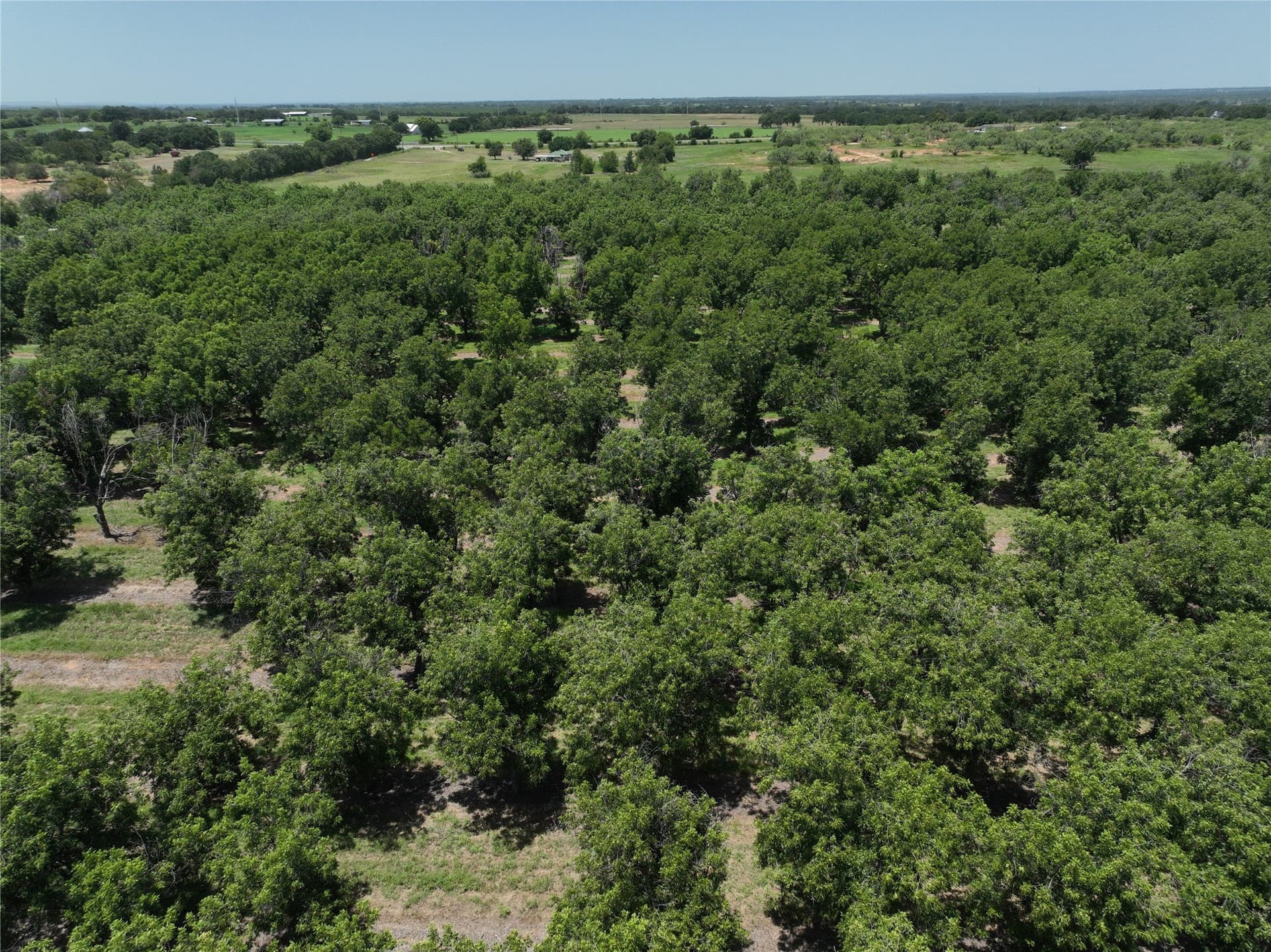 81.7 acres in Comanche County gallery image 2