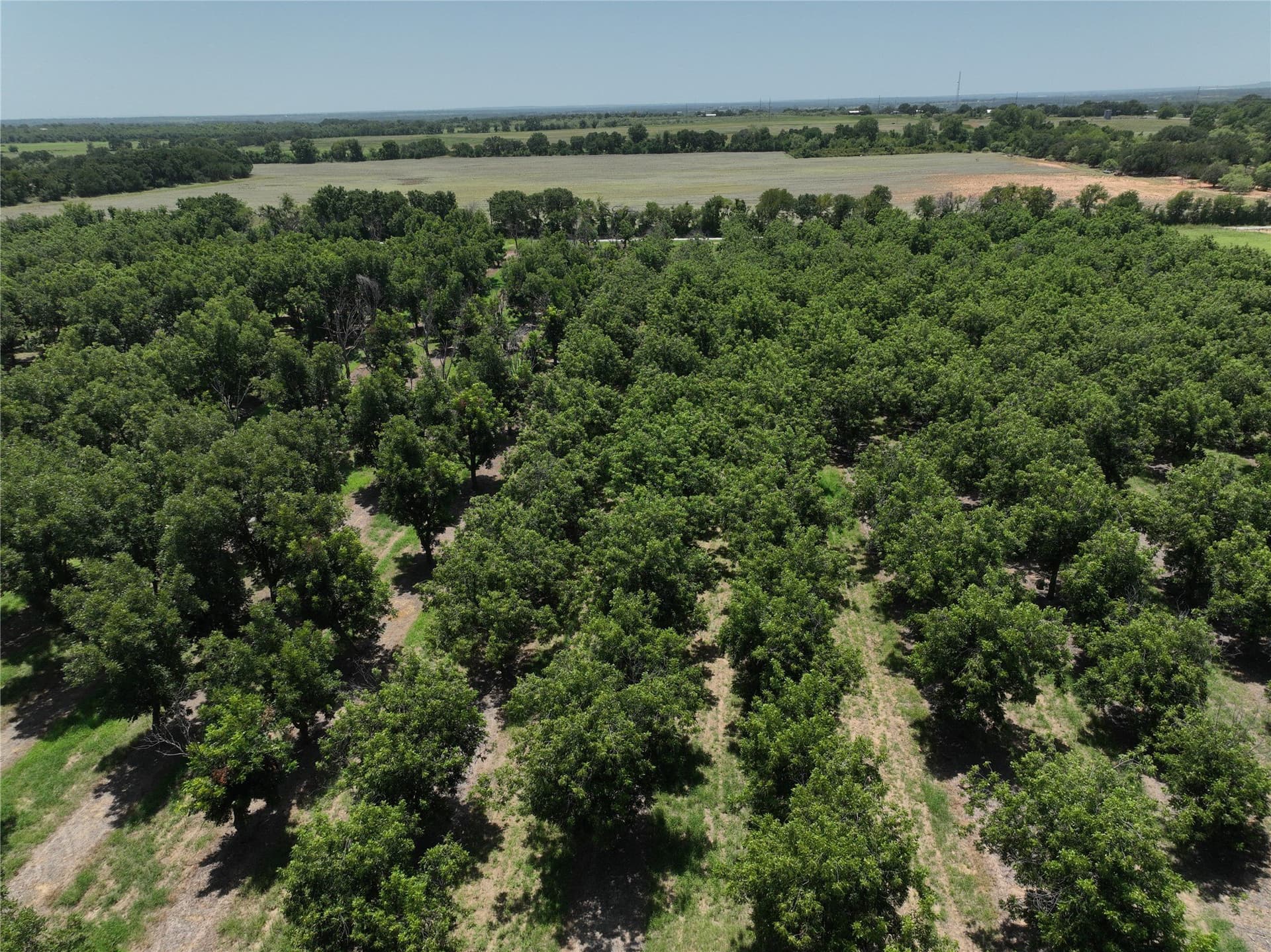 81.7 acres in Comanche County featured view