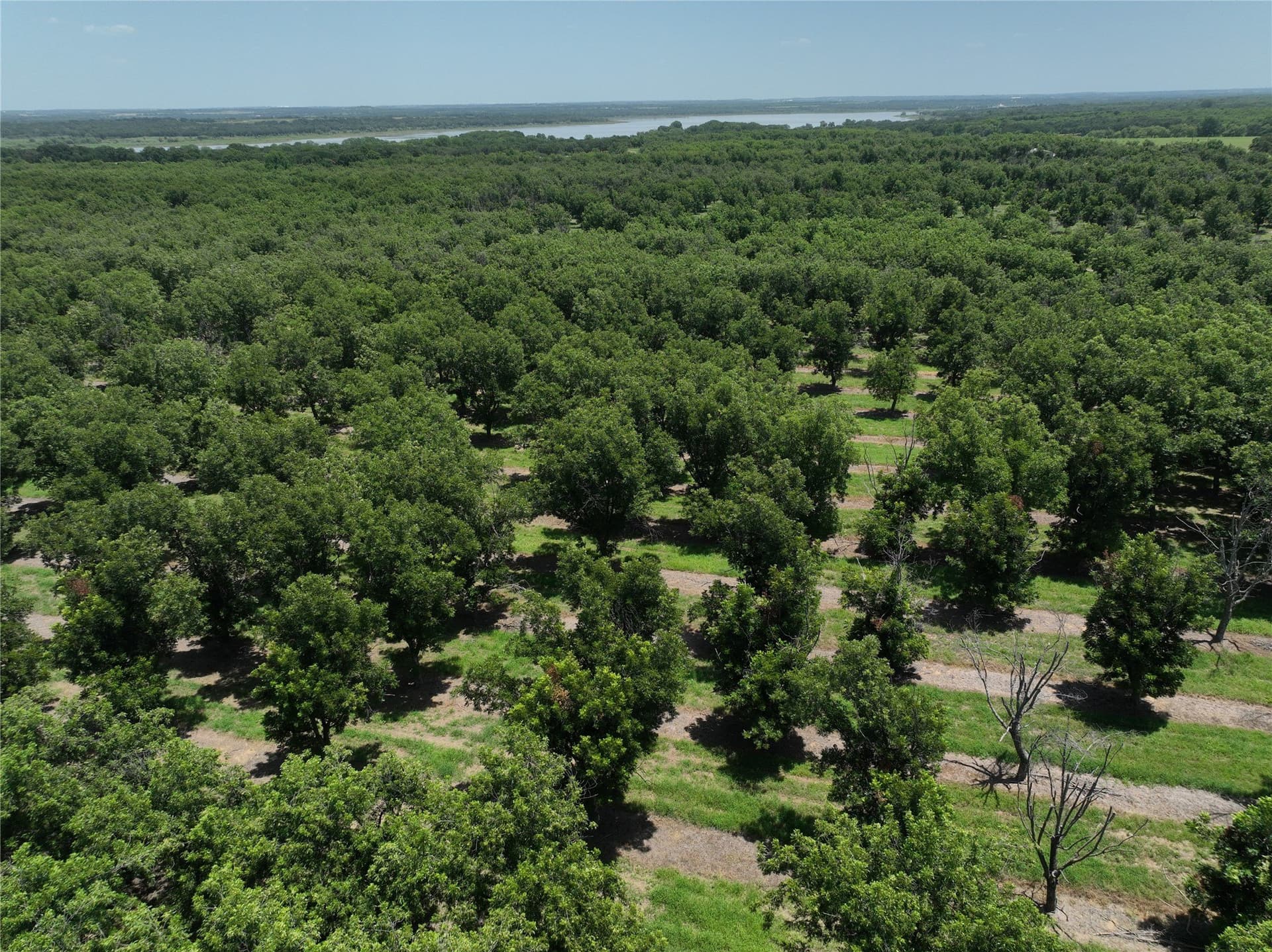 81.7 acres in Comanche County - photo 8