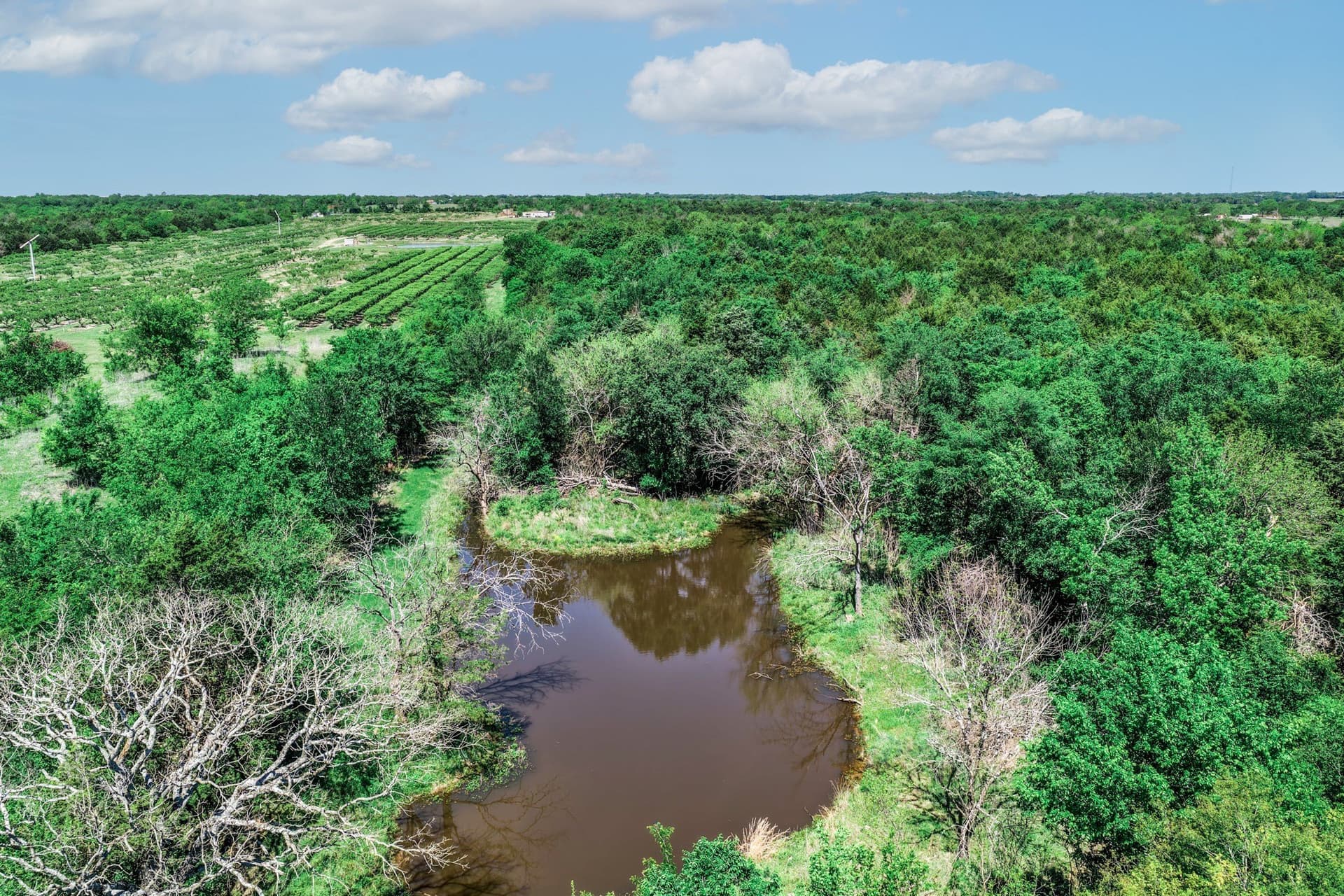 54.06 acres in Kaufman County - photo 13