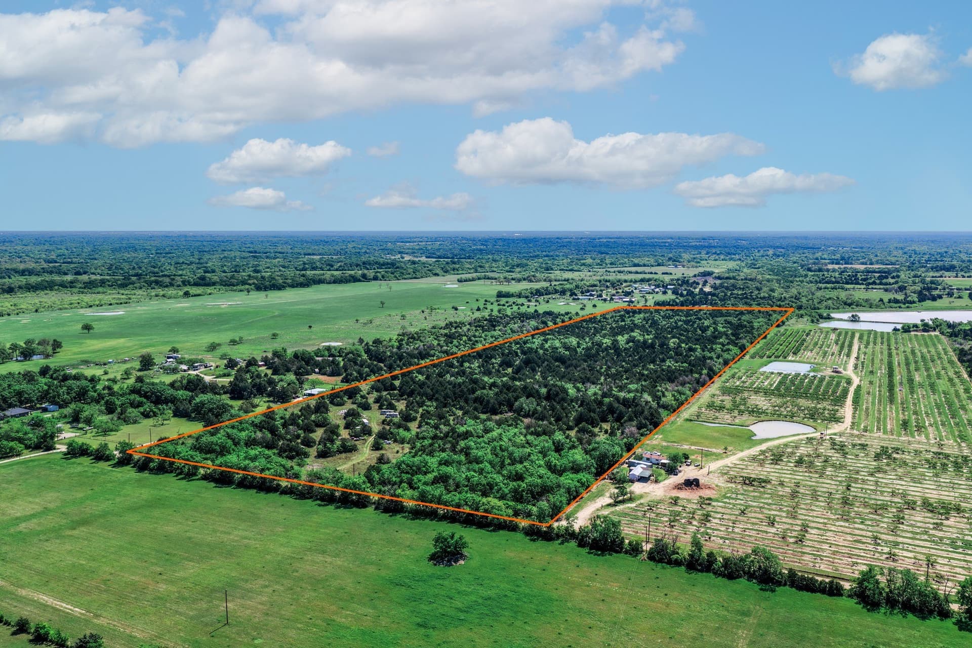 54.06 acres in Kaufman County gallery image 2