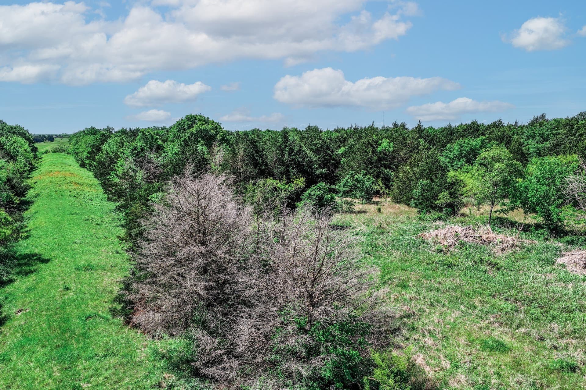 54.06 acres in Kaufman County - photo 10