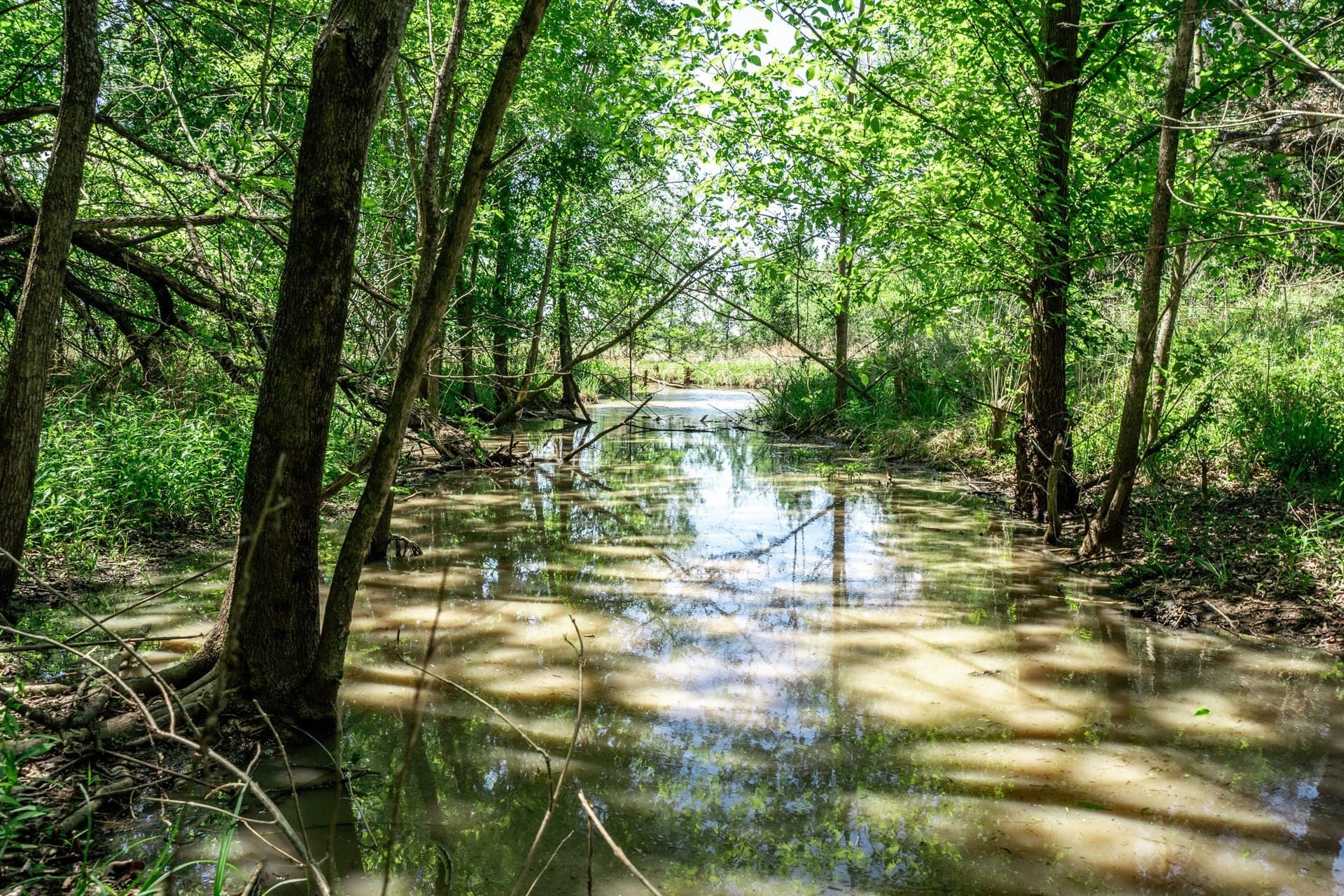 54.06 acres in Kaufman County - photo 34