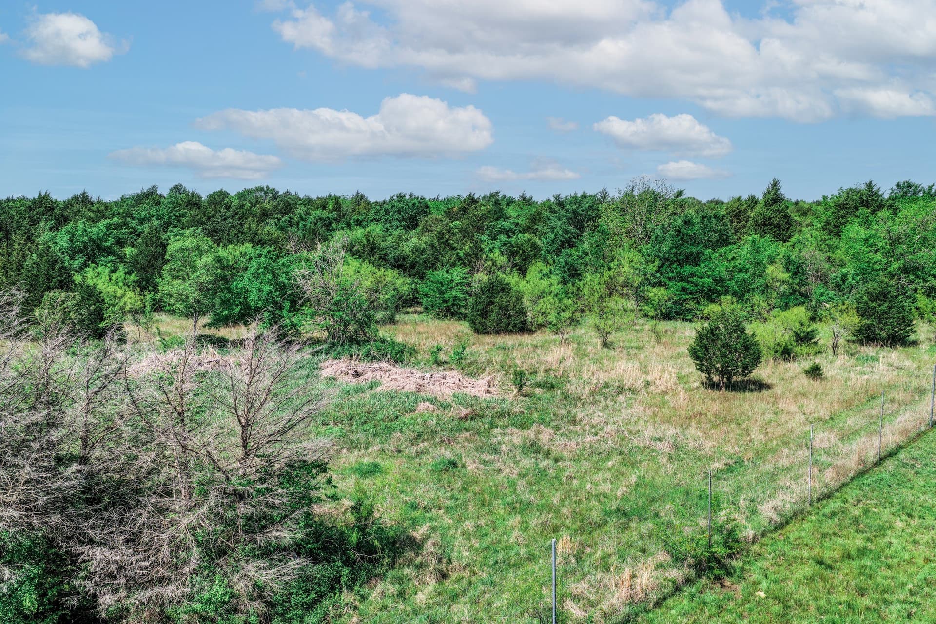 54.06 acres in Kaufman County - photo 9