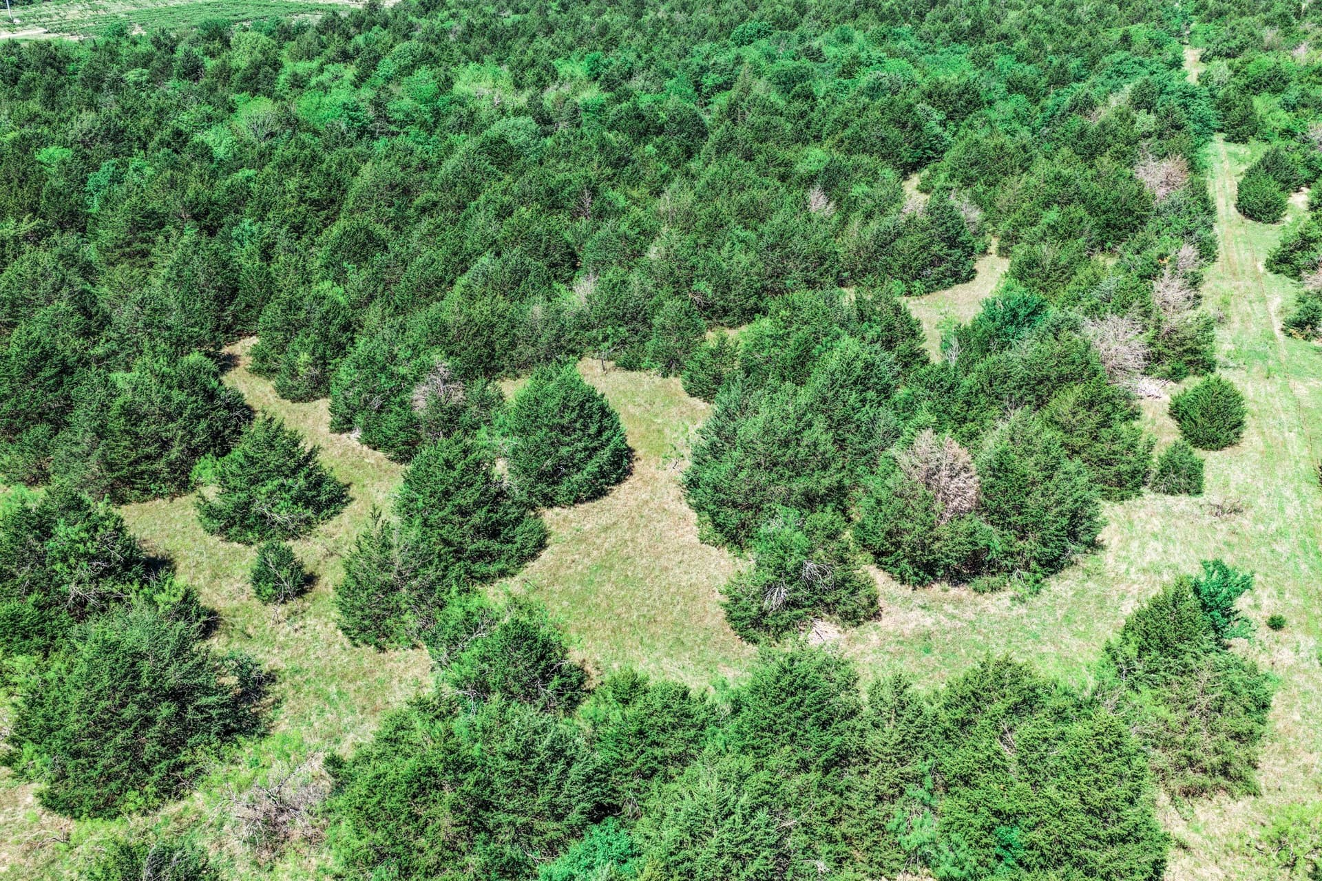 54.06 acres in Kaufman County - photo 14