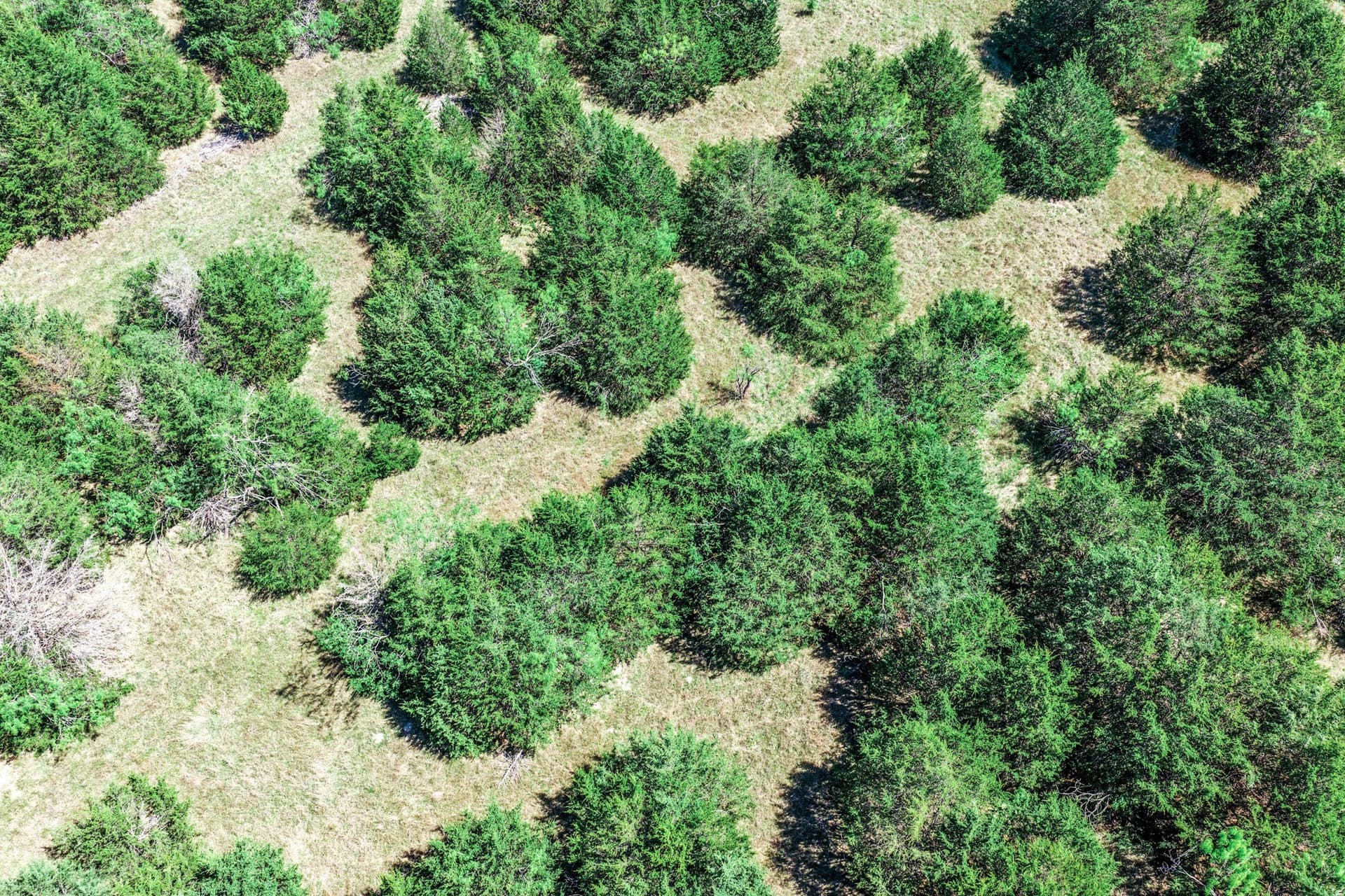 54.06 acres in Kaufman County - photo 16