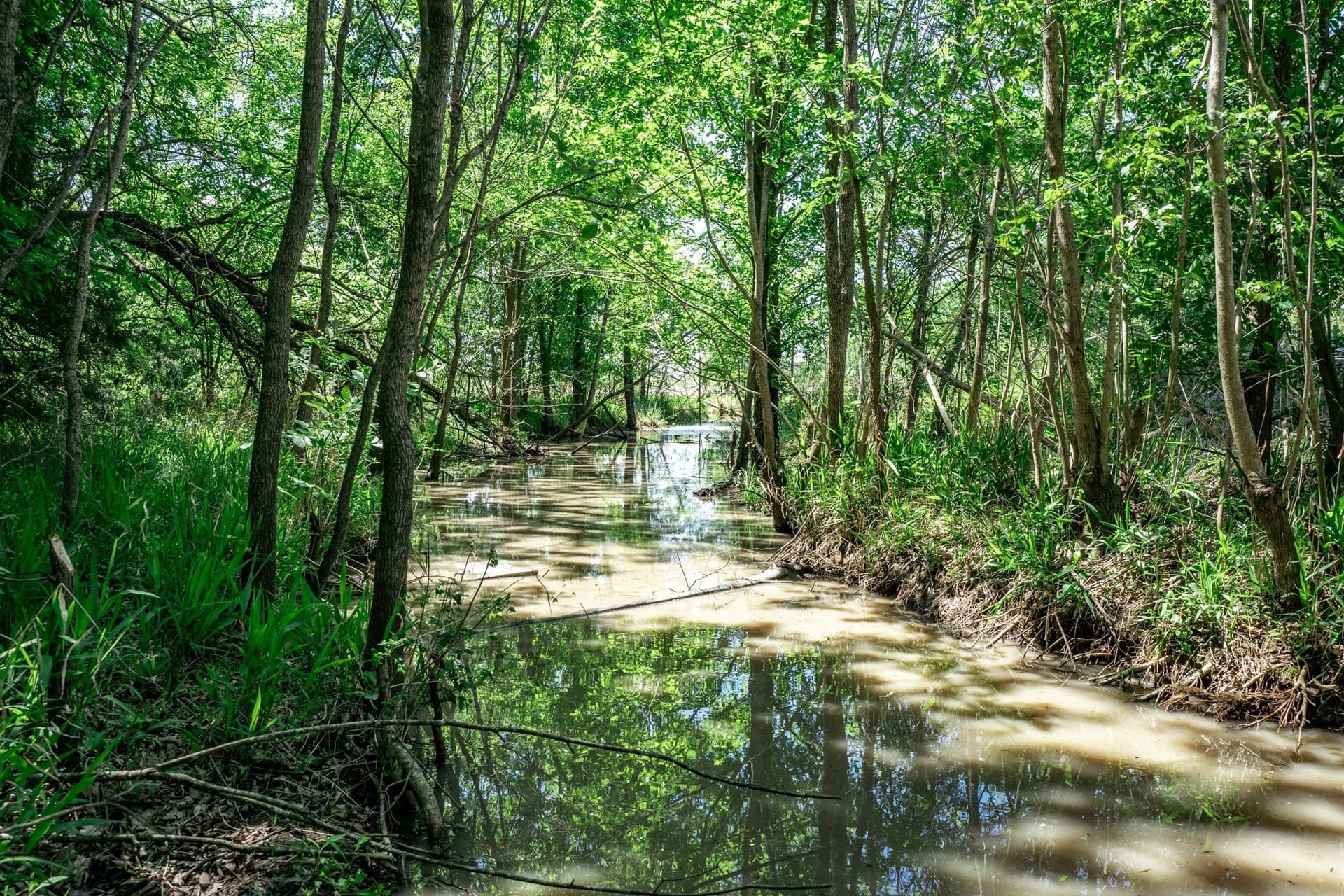 54.06 acres in Kaufman County - photo 33