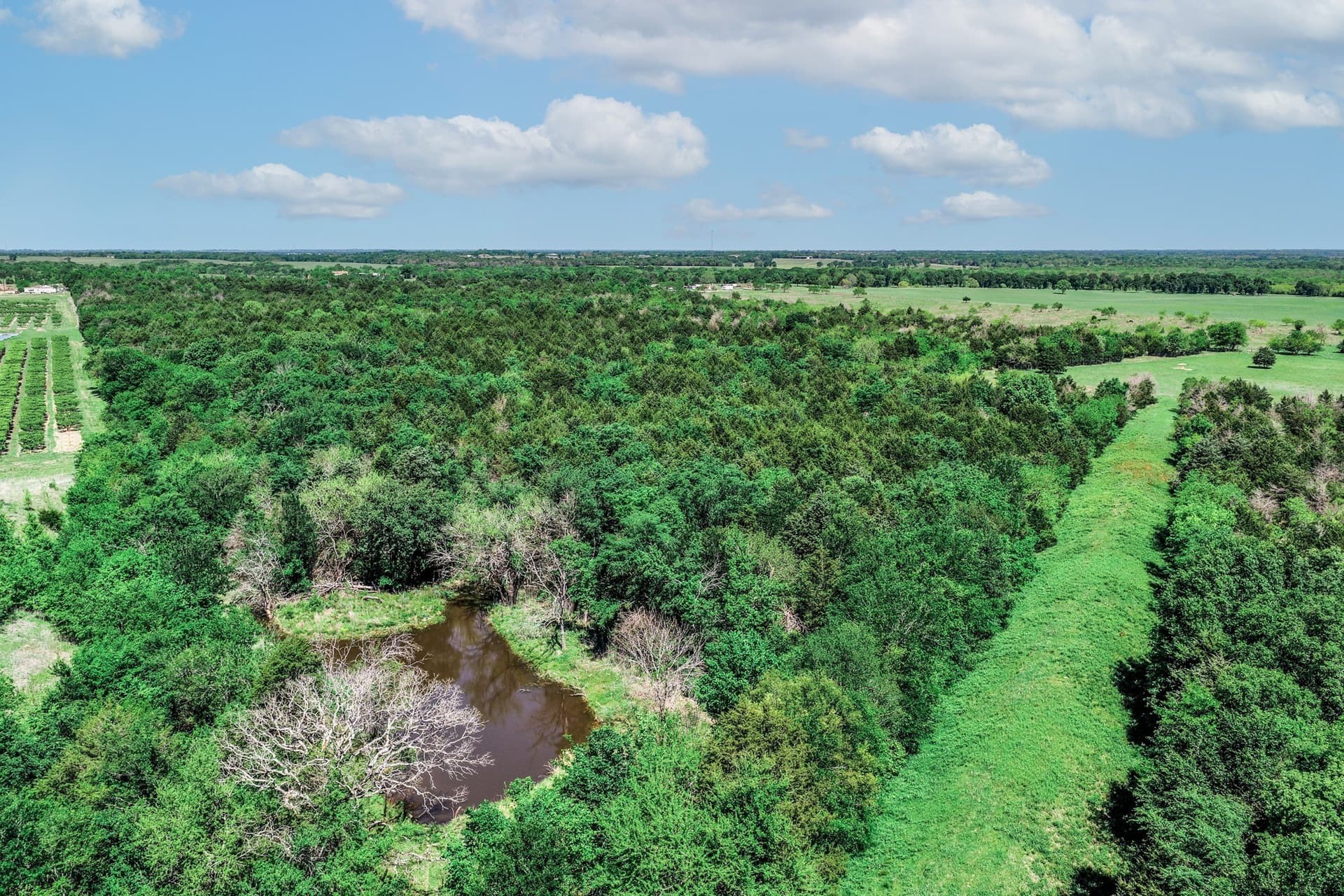 54.06 acres in Kaufman County - photo 12