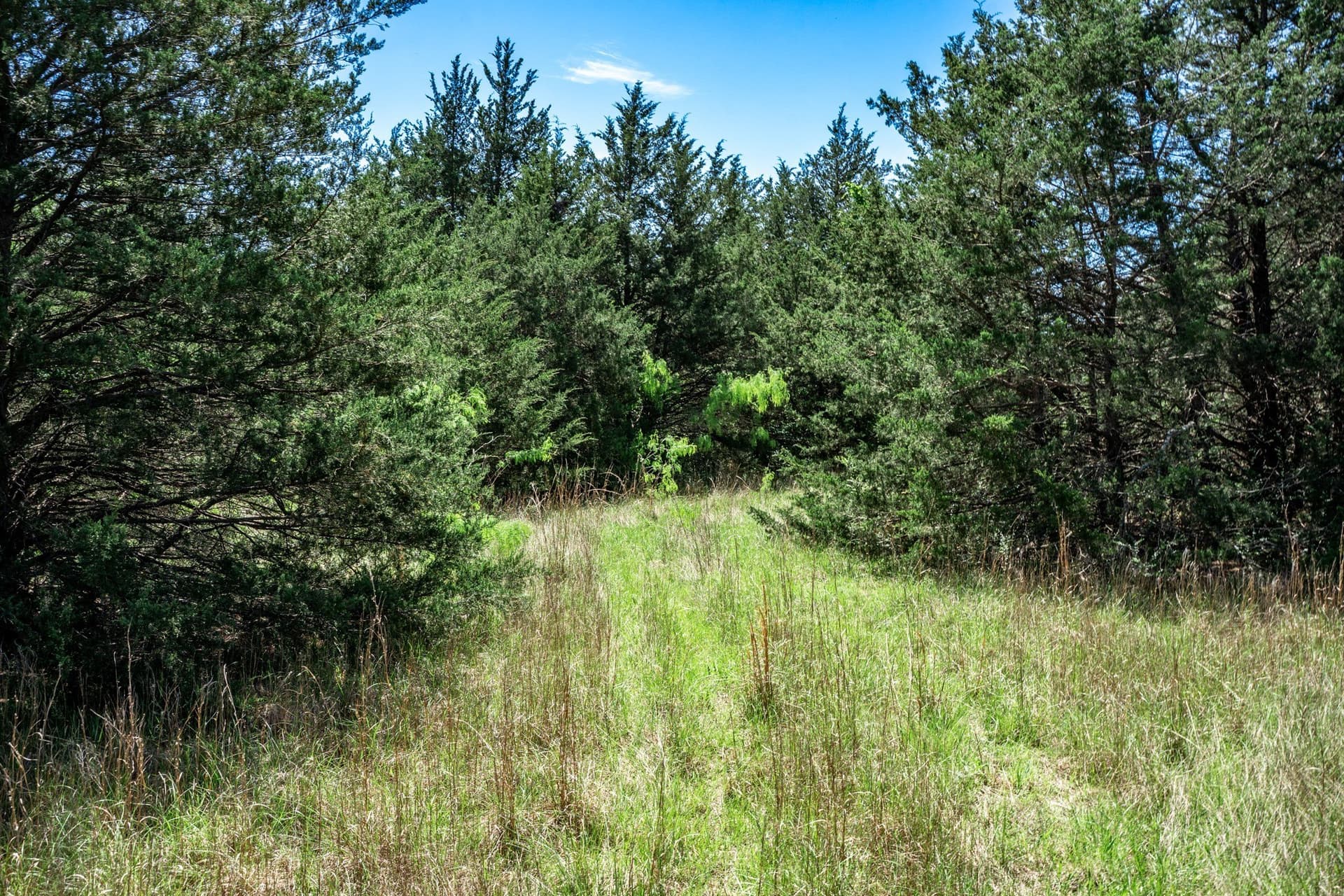54.06 acres in Kaufman County - photo 25