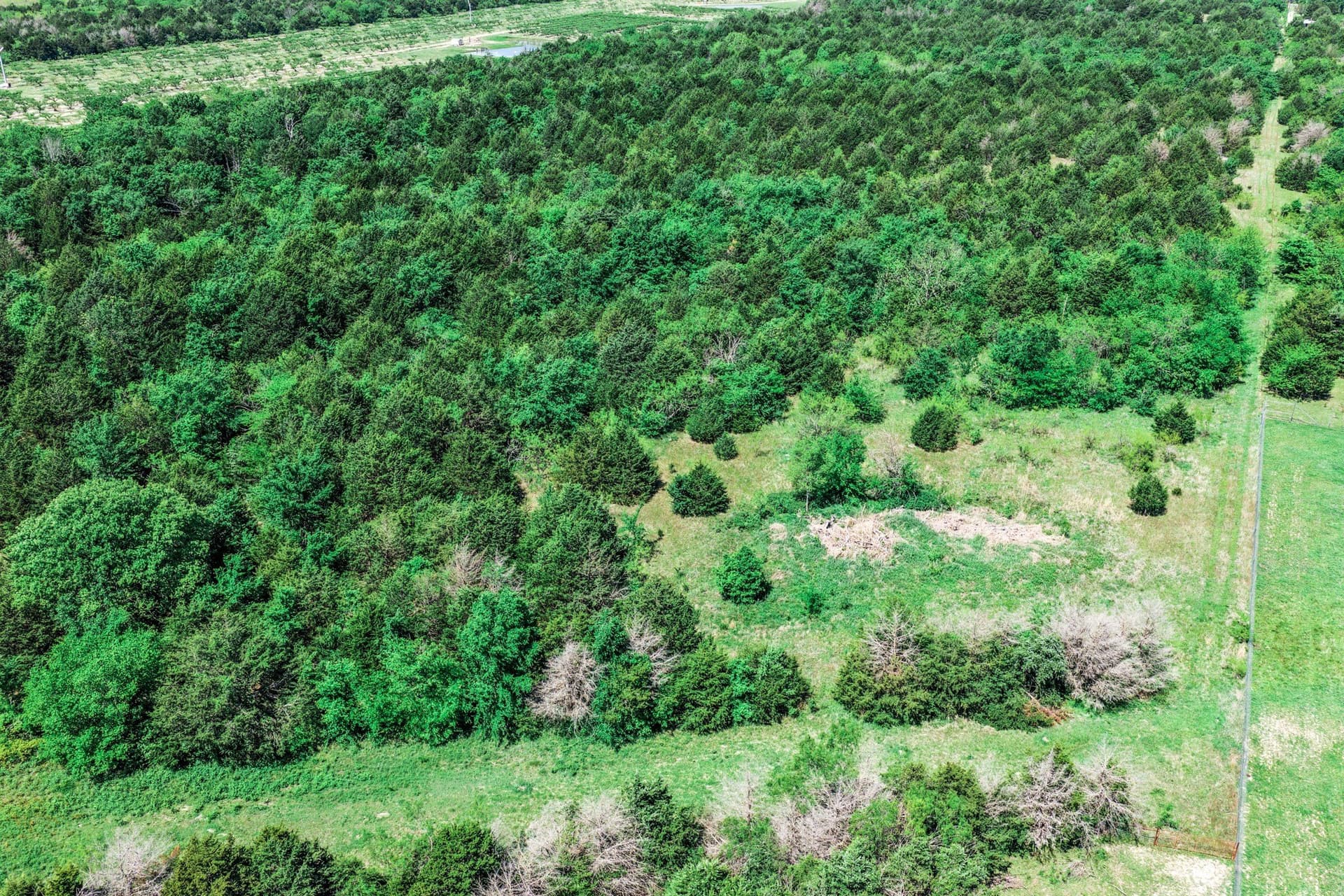 54.06 acres in Kaufman County - photo 11