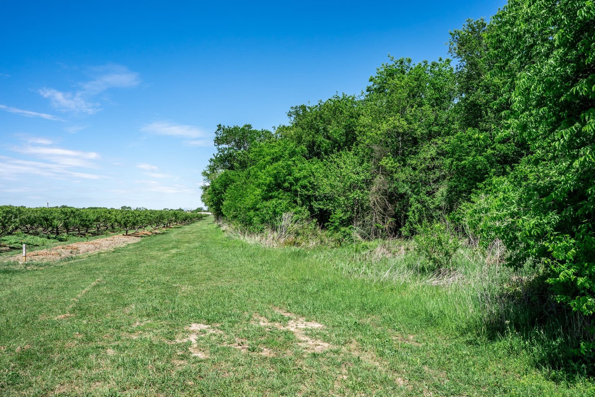 54.06 acres in Kaufman County - photo 39
