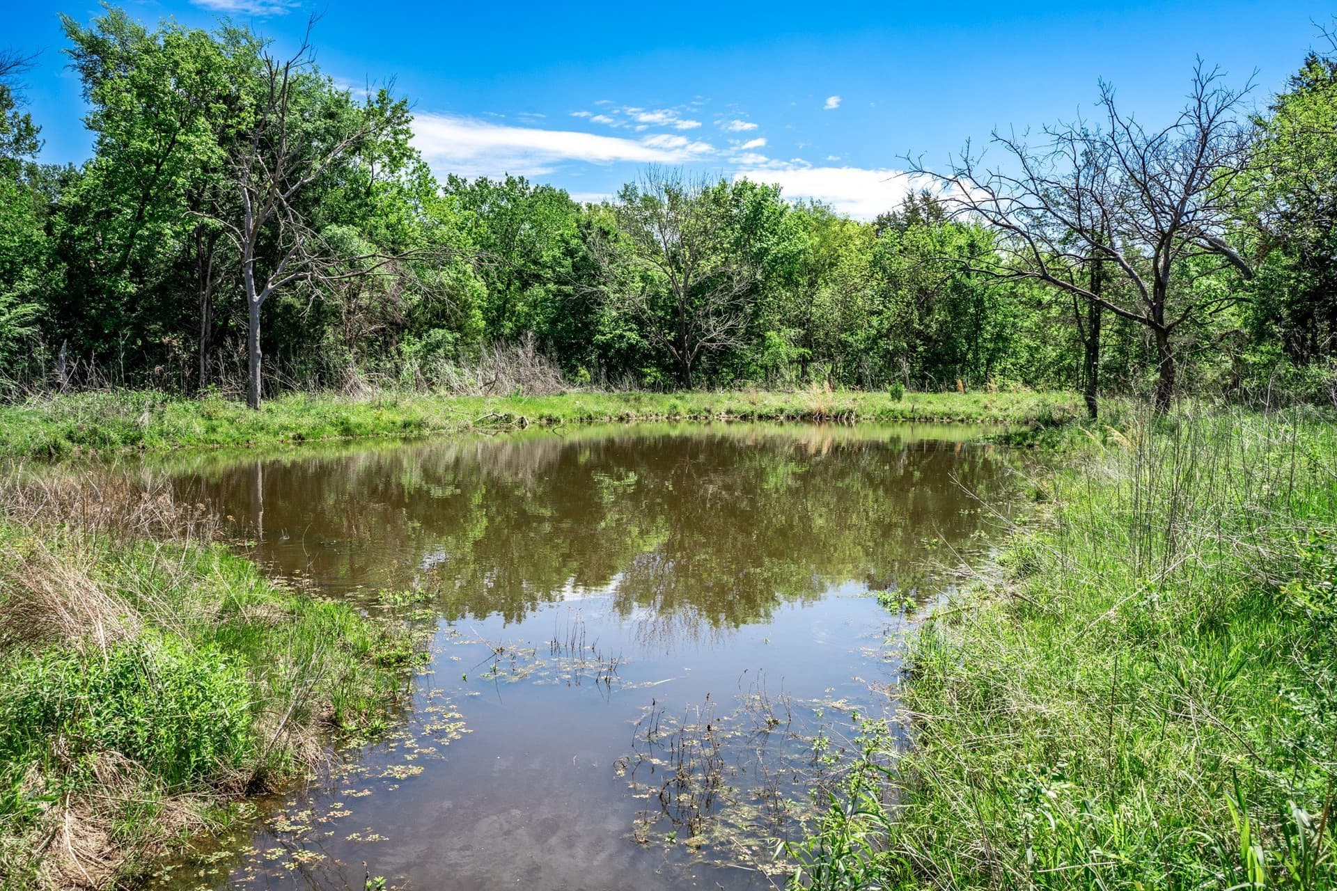 54.06 acres in Kaufman County - photo 38