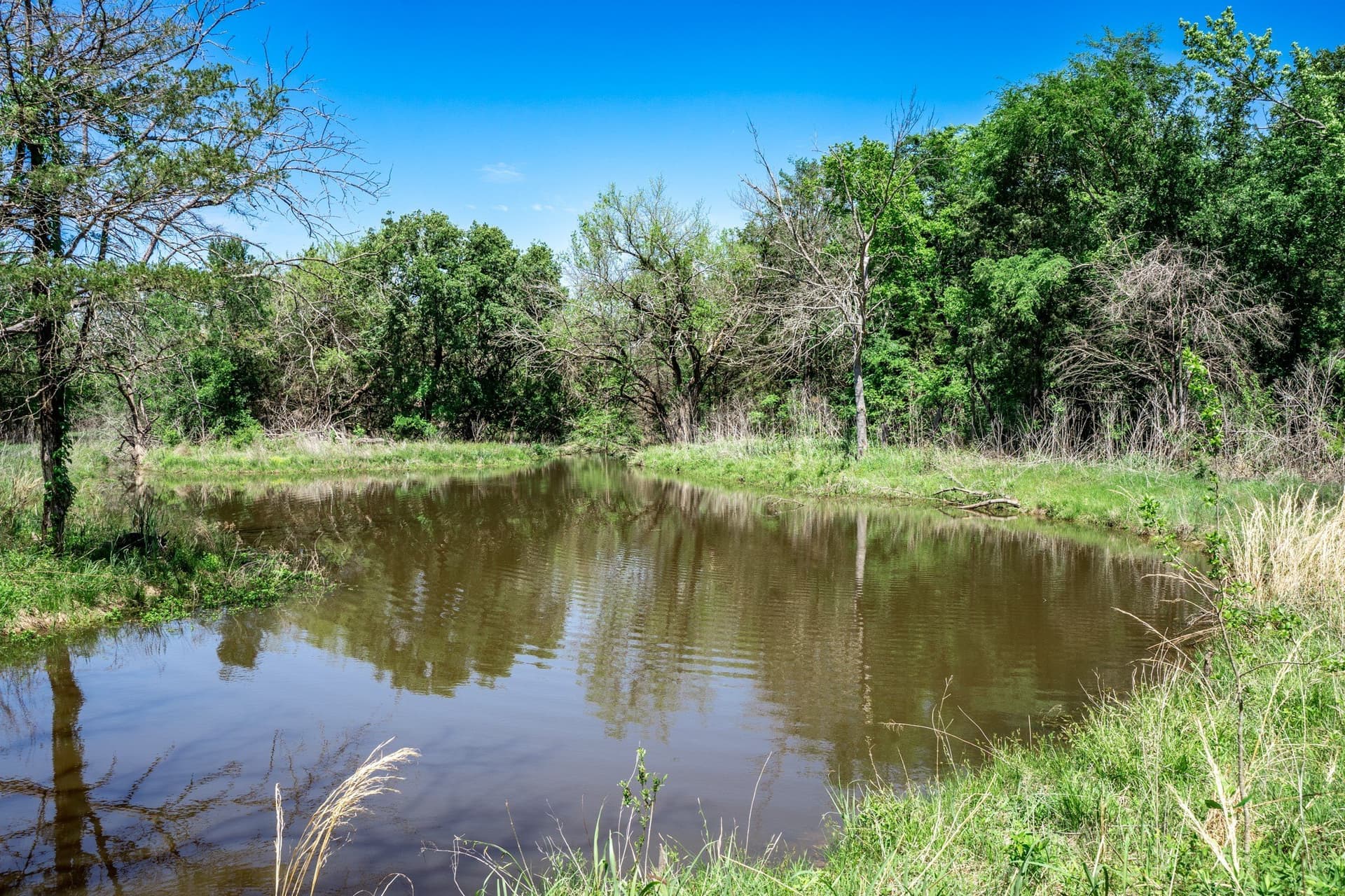 54.06 acres in Kaufman County - photo 37