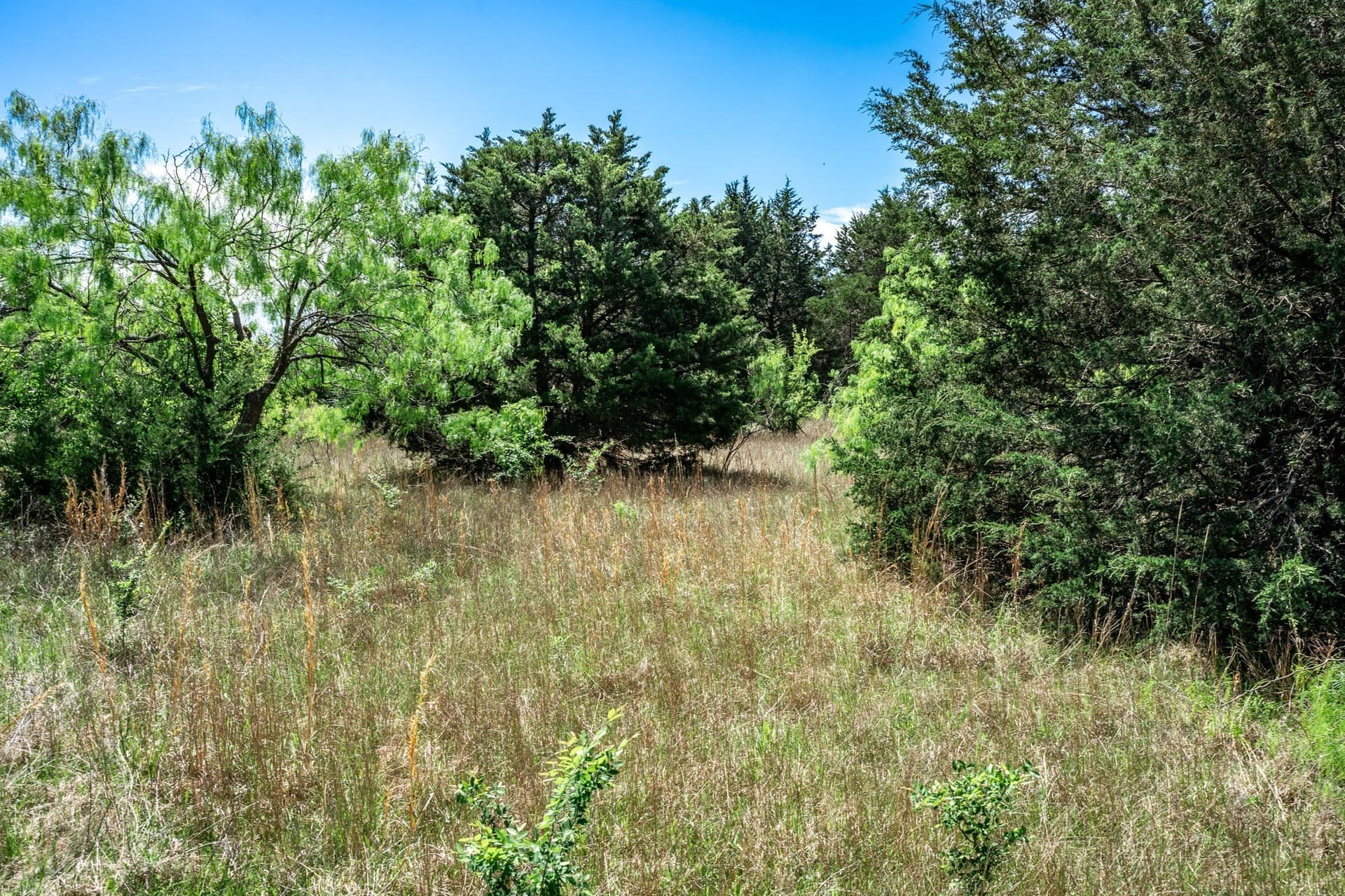 54.06 acres in Kaufman County - photo 28