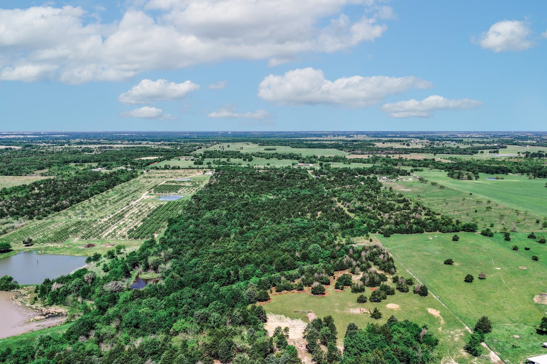 54.06 acres in Kaufman County - photo 7